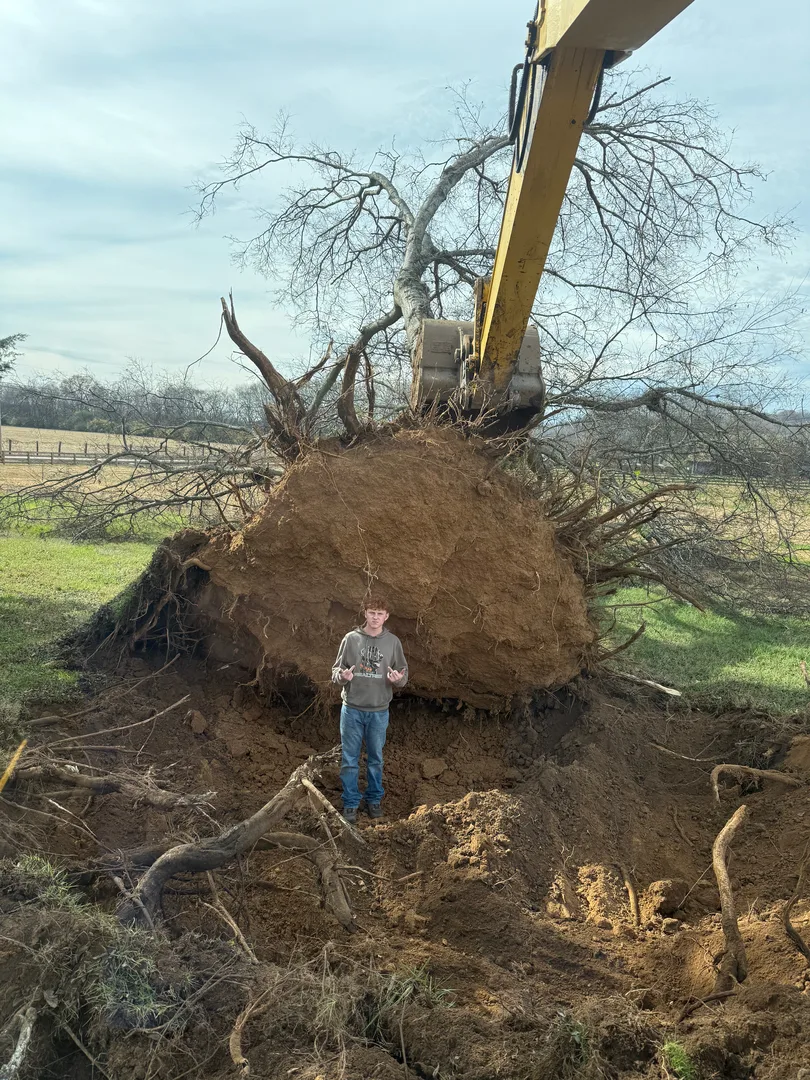 Excavator lifting a large root ball during land clearing